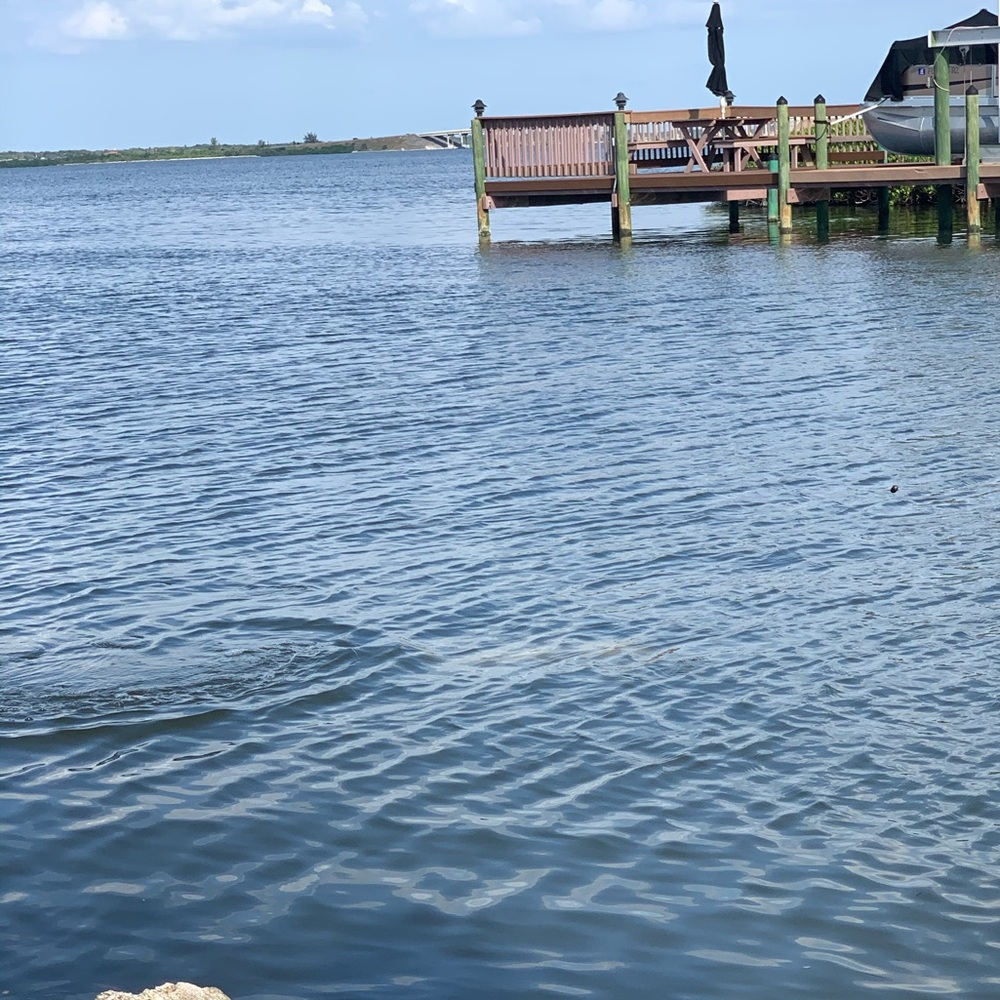 Meet your Posher, Dina